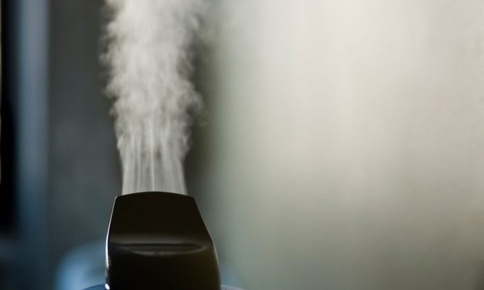 Consider These Wise Tips Before Buying A Cool Mist Humidifier